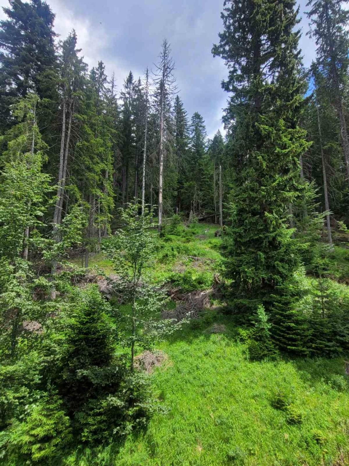 Николай Желев-Първи Еоод Pamporovo Exterior foto
